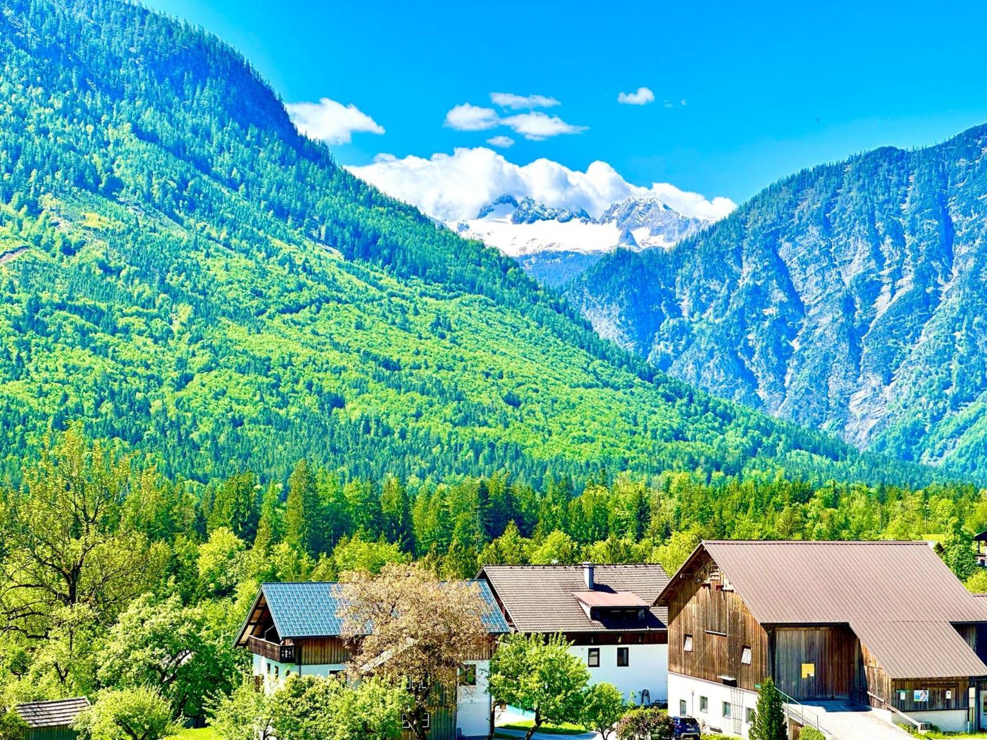 Das Alpenzeit Appartement Mit Just Private Terrasse (Adults Only) バート・アウスゼー エクステリア 写真